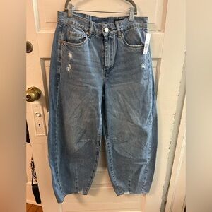 Anthropologie Light Blue Distressed Jeans